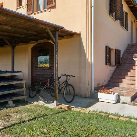 Pretty Holiday In Near San Francesco Museum