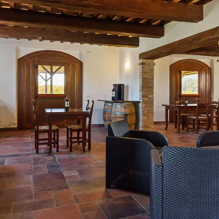 Pretty Holiday In Near San Francesco Museum *